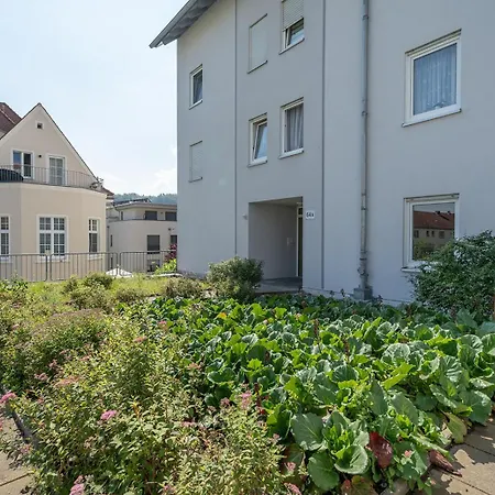 Benville - Modern - Familie - Terrasse Pirna